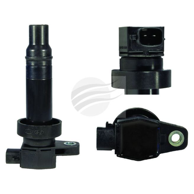 AFI C9530 Coilpack Suits Hyundai i20 i30 Accent